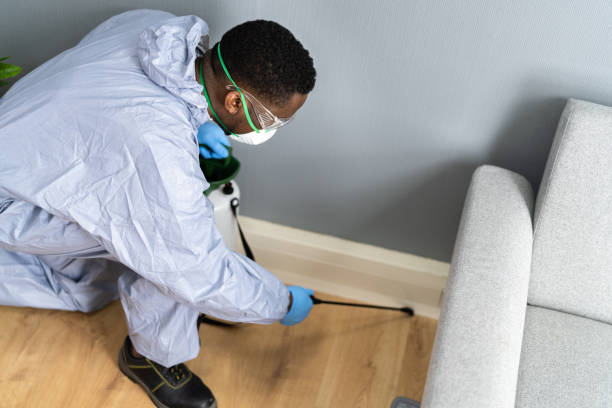 Best Fumigation Services  in Jesup, GA